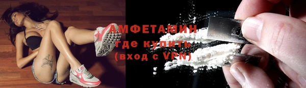 крисы Няндома