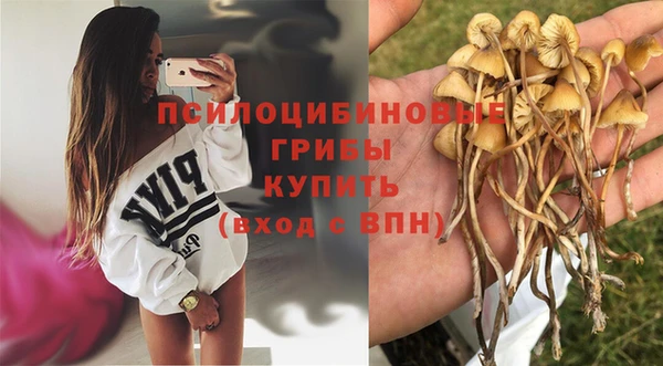 крисы Белая Холуница