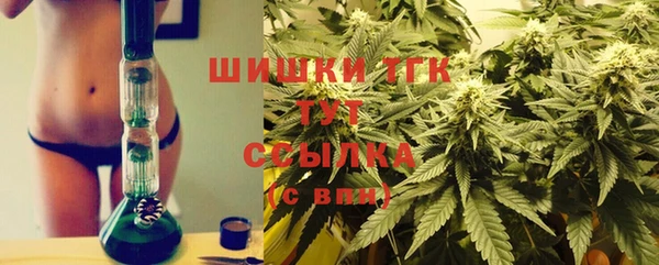крисы Няндома