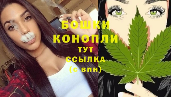 дмт Новокубанск