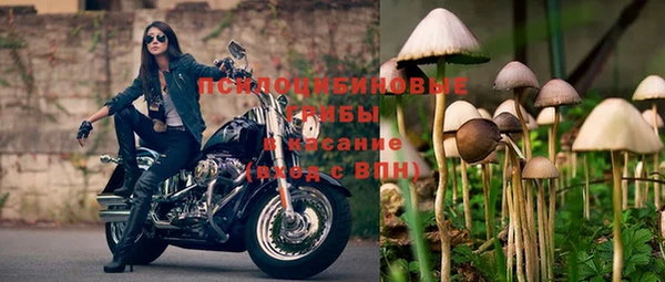 прущая мука Новозыбков