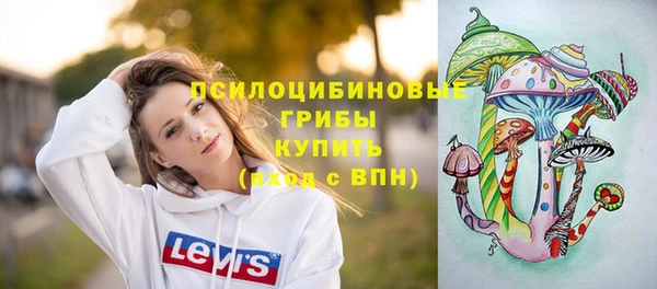 MDMA Новодвинск