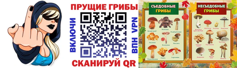 Псилоцибиновые грибы прущие грибы продажа наркотиков Электроугли